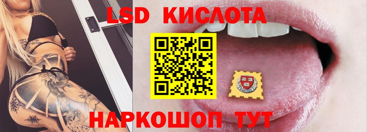 blacksprut ссылки  Лсд 25 экстази кислота  Вход с VPN  Грозный 