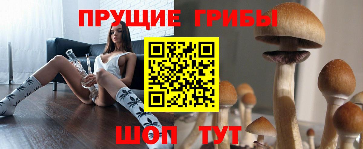Грозный  цена наркотик  Вход с VPN  Галлюциногенные грибы мицелий 